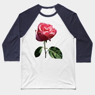 Roses - Delicate Pink Rosebud Baseball T-Shirt